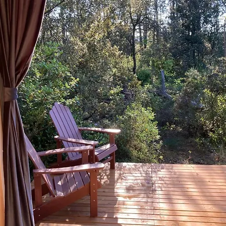 Roque Rouge By Tiny Away *