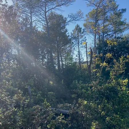 Roque Rouge By Tiny Away * Bédarieux